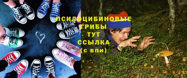 гидра Нея
